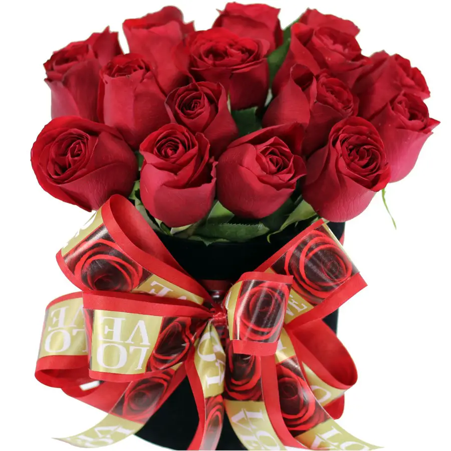 As 10 Melhores Fotos de Rosas Vermelhas do Flickr | Flores ...