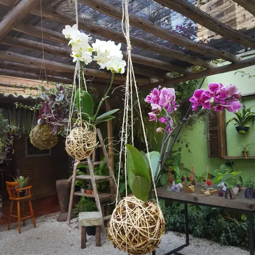 Lindas Kokedamas Feitas com Orquídeas Brancas e Roxas