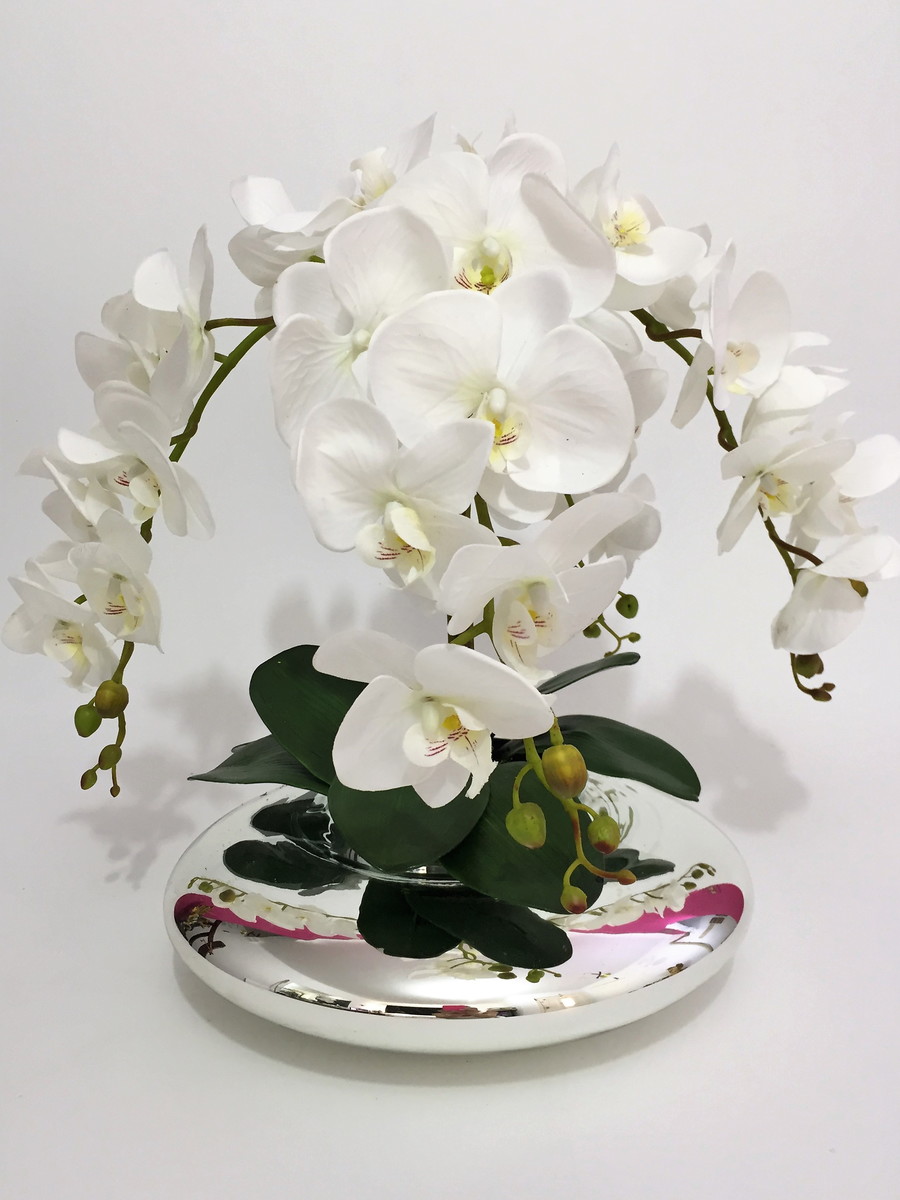 Orquídea Branca Como Cuidar | Flores - Cultura Mix